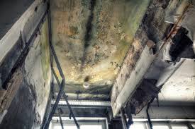 Mold Remediation for Rental Properties in Bridgeport, NY